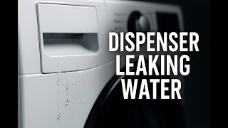 Washer Leaking from the Detergent Dispenser? Here's the Real Fix!