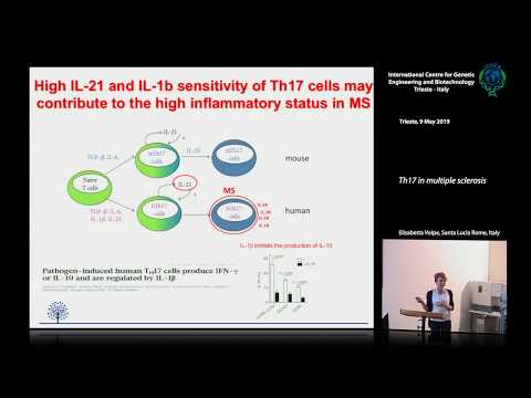 E. Volpe - Th17 in multiple sclerosis