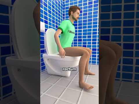 How Does Your Body Turn Food Into Poop? 💩