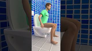 Download lagu How Does Your Body Turn Food Into Poop? 💩 mp3 Download lagu How Does Your Body Turn Food Into Poop? 💩 mp3