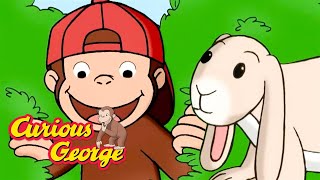 Find Those Bunnies!  🐵 Full Episodes | Curious George