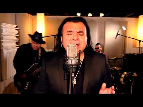 The Vinyl Revival - Long As I Can See The Light