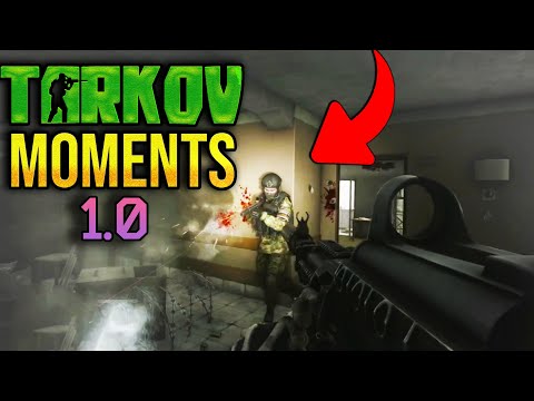 EFT WTF Moments | ESCAPE FROM TARKOV | Highlights & Clips Ep.459