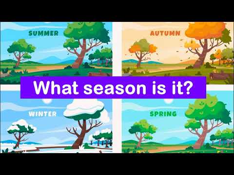 Seasons and Weather ESL Game. What Season is It?