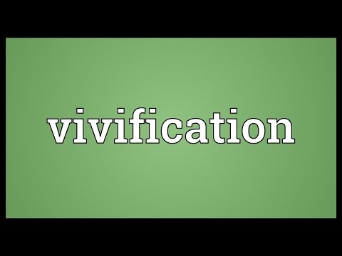 Vivification Meaning