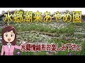 channel