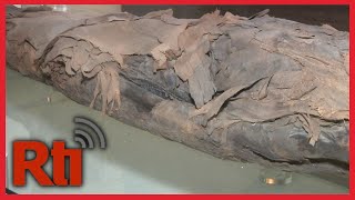 Taichung exhibition shows real mummies ahead of Ghost Month | Taiwan News | RTI