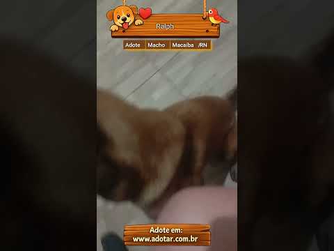 Vídeo de Ralph 
