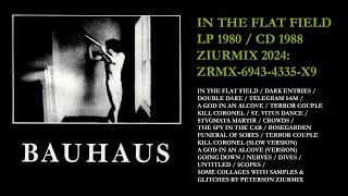BAUHAUS IN THE FLAT FIELD / ZIURMIX