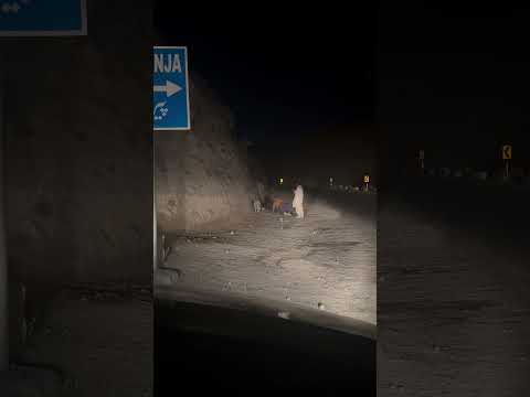 Baitak with a dog 😍 #travel #najeebelum #balochistan #pakistan #dogprank #prank #fyp #foru #bolan