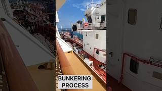 Day out in melbourne australia. #minivlog #vlog #ship #cruise #seafaringlife