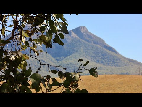 Lower Portals Trail | Mt Barney National Park