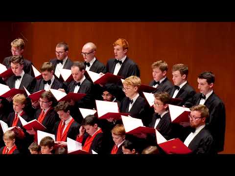 茉莉花 (Mo li hua, Jasmine Flower)