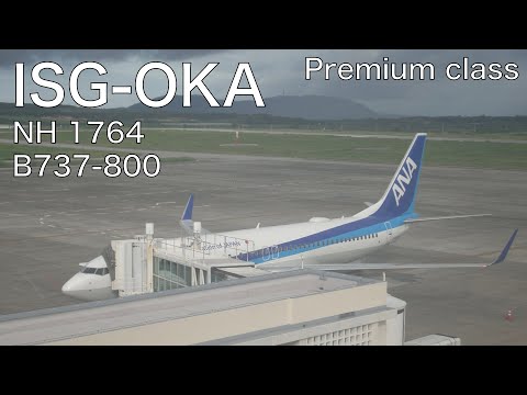 Miniatura YouTube dla ANA Boeing 737-800 Passenger