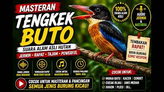 Download lagu Tengkek buto mp3 Download lagu Tengkek buto mp3