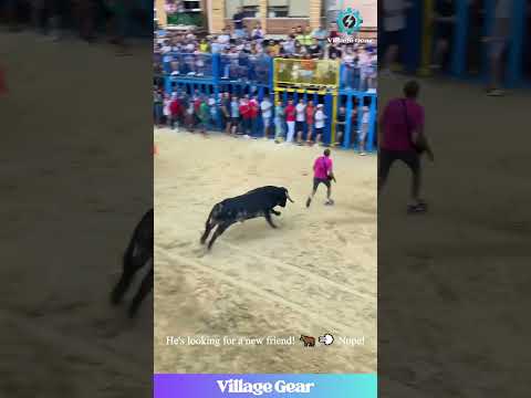 Running with Bulls Looks... TERRIFYING! 🐂 Nope! #bulls #spain #funnyfail #nope #crazy