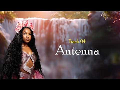 Zuchu - Antenna - (Lyric Video)