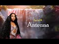 Zuchu Antenna Lyric Video