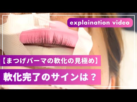 アクトゥスについて詳しく解説