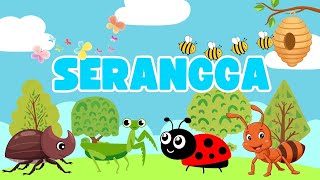 Download lagu Belajar Nama-nama Hewan Serangga | Mengenal Macam-macam Binatang Kecil | Ulat Kupu-kupu Kepik mp3 Download lagu Belajar Nama-nama Hewan Serangga | Mengenal Macam-macam Binatang Kecil | Ulat Kupu-kupu Kepik mp3