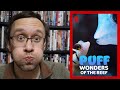 Puff: Wonders of the Reef - A Netflix Review