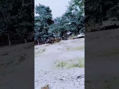 Chibagre re.angmitingoni memorial vidio😍😍