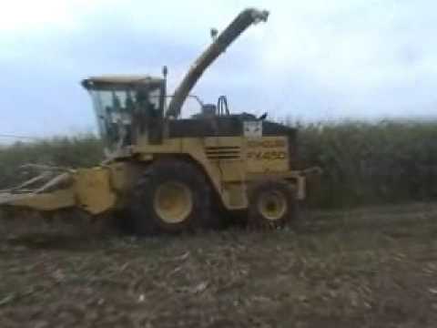 Huyghe: Mais hakselen.