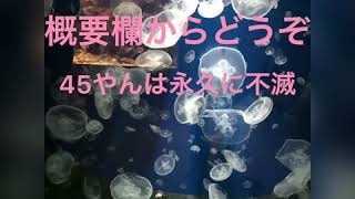 チャンネル移行します