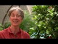 Mary Jane West Eberhard Interview