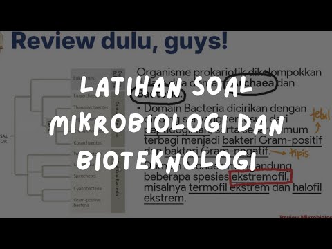 Kelas Inkubasi 019: Biologi - Latihan Soal Mikrobiologi dan Bioteknologi
