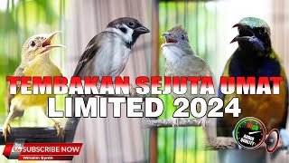 Download lagu MASTERAN PUKULAN SPESIAL PAKET KASAR UPGRRADE 2025 GEREJA GACOR VS CUNGKOK KOLIBRI MANGGAR VS KATEM mp3 Download lagu MASTERAN PUKULAN SPESIAL PAKET KASAR UPGRRADE 2025 GEREJA GACOR VS CUNGKOK KOLIBRI MANGGAR VS KATEM mp3