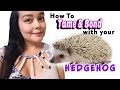 Hedgehog Behavior | Bonding with Your Pet