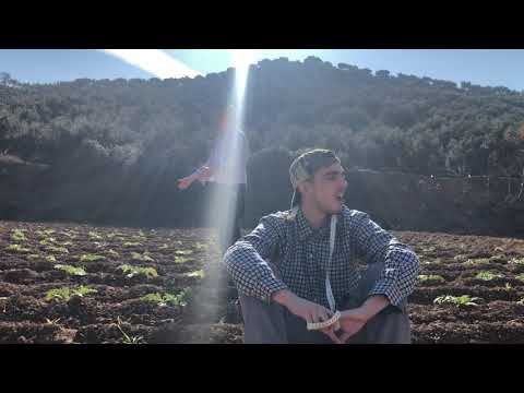 Calicata Huétor Tájar