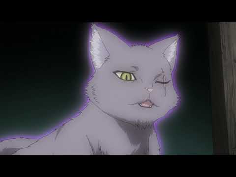 Богиня-кошка из Яойорозу [сейнен, комедия, повс-сть]  Марафон   Все серии подряд  Trina D