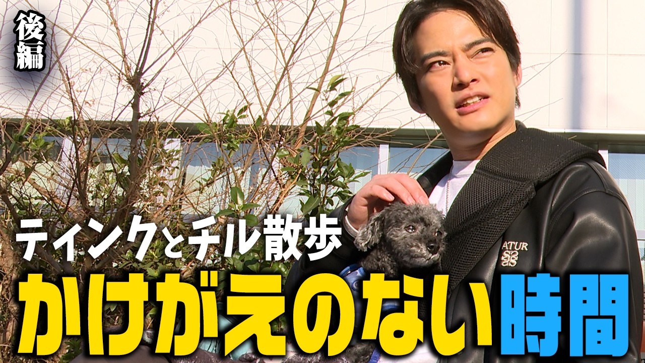 【中山優馬】ティンクに救われた...愛犬・ティンクとチル散歩【後編】