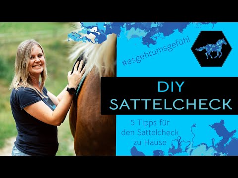 DIY Sattelcheck für zu Hause