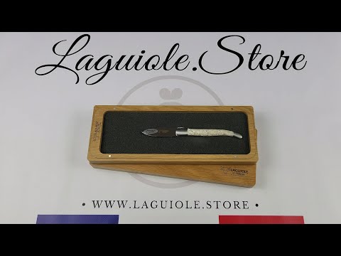 Laguiole Oyster Knife with Oyster Shells handle