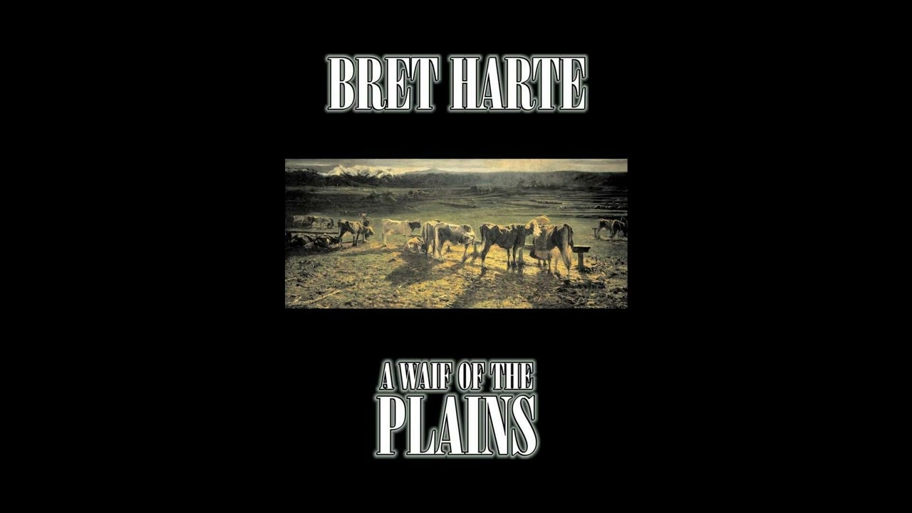 A Waif of the Plains