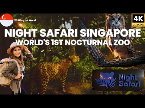 Singapore Night Safari 2025 FULL Tour | World's FIRST Nocturnal Zoo Experience [4K]