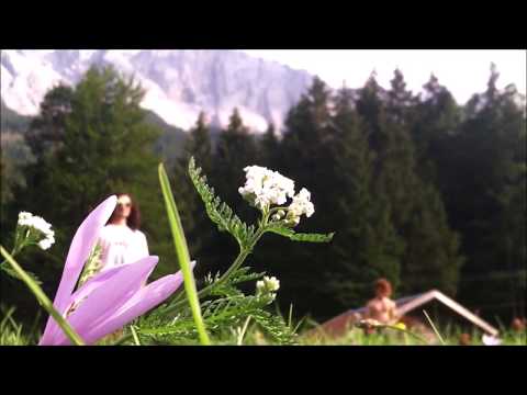 Augustus (boxboys) ~ smokin'