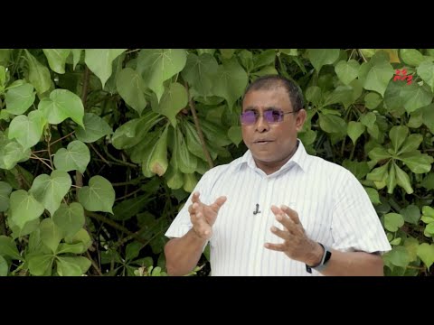 ހޯމް ސްޓޭ: މެހުމާންދާރީން ރަށަށް ޑޮލަރު!