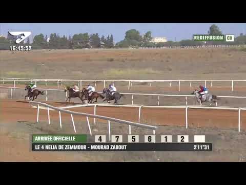 Live Hippodrome « Khemisset » | Courses du « 01/10/2020 »