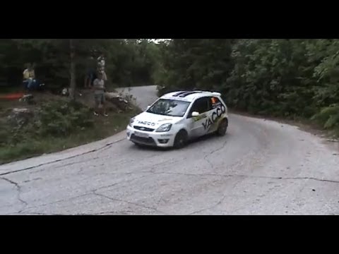 Rally Hebros 2013 - Georgi Geradzhiev on SS5 Yavrovo 2