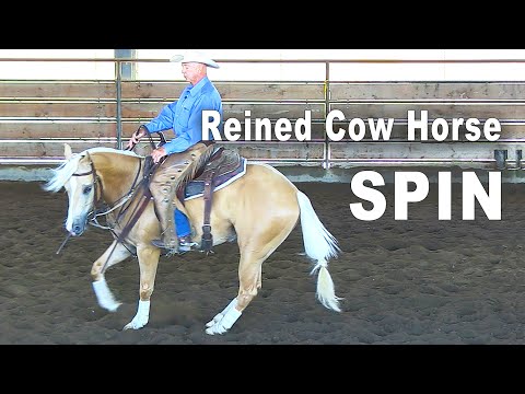 Horse Training For A Spin - Reining & Reined Cow Horse Training