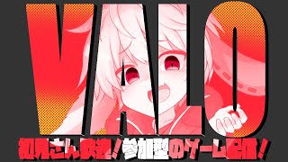 【 ＃VALO  / #参加型  】簡易水冷故障により、配信出来ないため30日から配信します💦