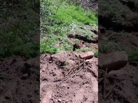 Early Phase of KGT Greenhouse/Gewächshaus construction