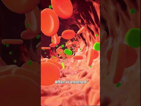 How The Assassin Umbrella Worked 😮