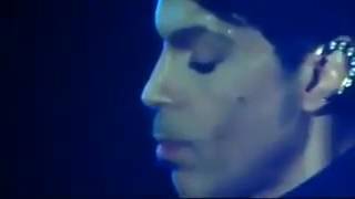 Prince  Under the Cherry Moon  (piano)