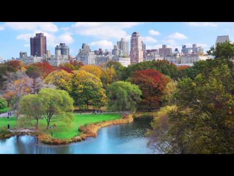 Spend 90 Seconds in 20 Great Cities