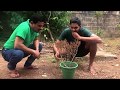 janai-priyai-mal-pale-28-09-2018